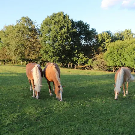 Les Grands Frênes Alojamento de Acomodação e Pequeno-almoço Plaine-de-Walsch