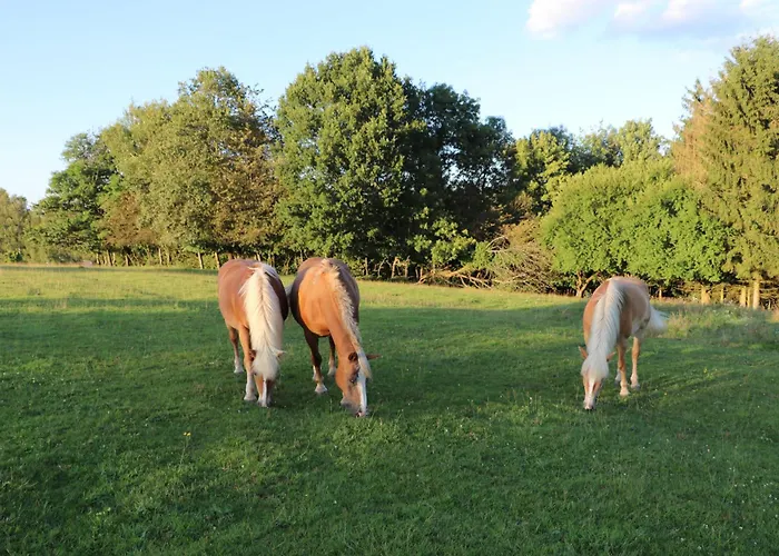 Les Grands Frenes Bed & Breakfast Plaine-de-Walsch