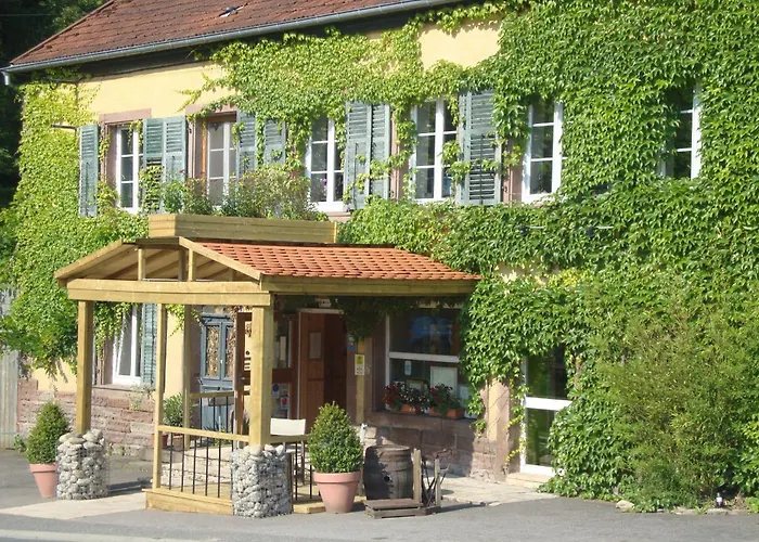 Les Grands Frenes Bed & Breakfast Plaine-de-Walsch